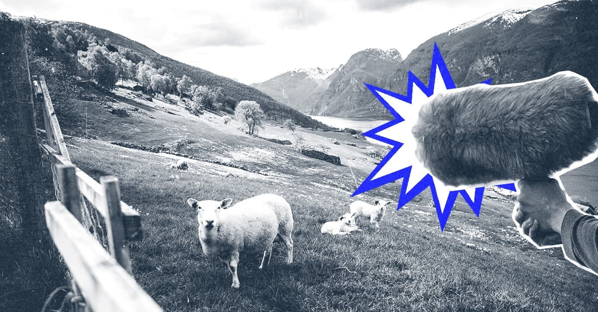 https://blog.landr.com/wp-content/uploads/2019/10/Field-Recordings_1200x627_inFeed2.jpg